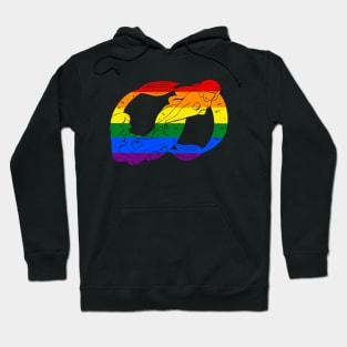 Gay Infinity Mermaids- Black Hoodie